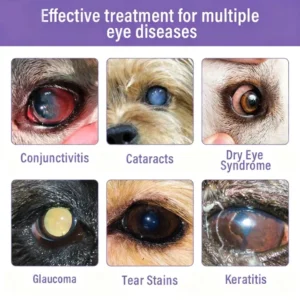 BBOJI™Pet Eye Drops-Relieves Conjunctivitis