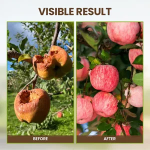 QIAWI™ Activated Treasure-You Will Be Amazed!