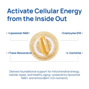 Vantique NAD+ Supplement for Men