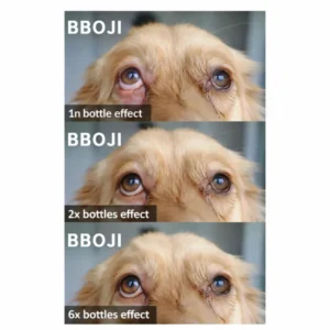 BBOJI™Pet Eye Drops-Relieves Conjunctivitis
