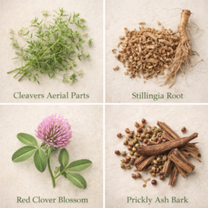 Core of Nature Lymphatic Drainage Support Drops