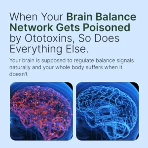 FORTISCORTEX - maximum potency brain balance & clarity capsules