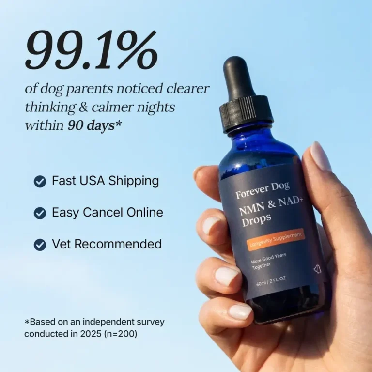 Forever Dog The Science-Backed Protocol for Senior Dog Dementia