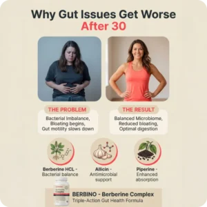 Berbino™ — Clinical Grade Berberine for Digestive Reset