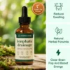 LymphCare Lymphatic – Drainage Wellness Drops