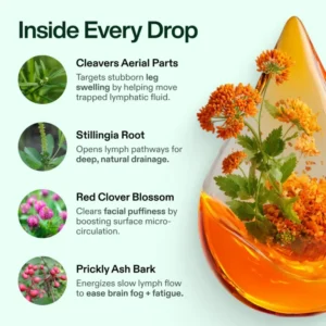 LymphCare Lymphatic – Drainage Wellness Drops