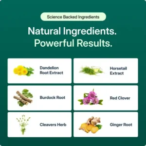 GOLDEN ROOT Lymphatic Drainage Cleanse