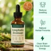 Lymphoria® Lymphatic Drainage Drops