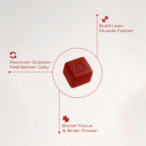 OMNI Creatine Gummy