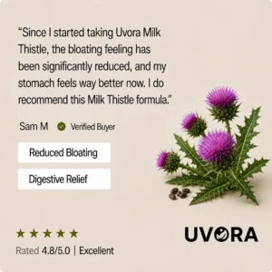 Uvora - Milk Thistle Gut Support
