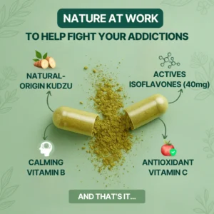 HerbavaQ Kudzu Capsules